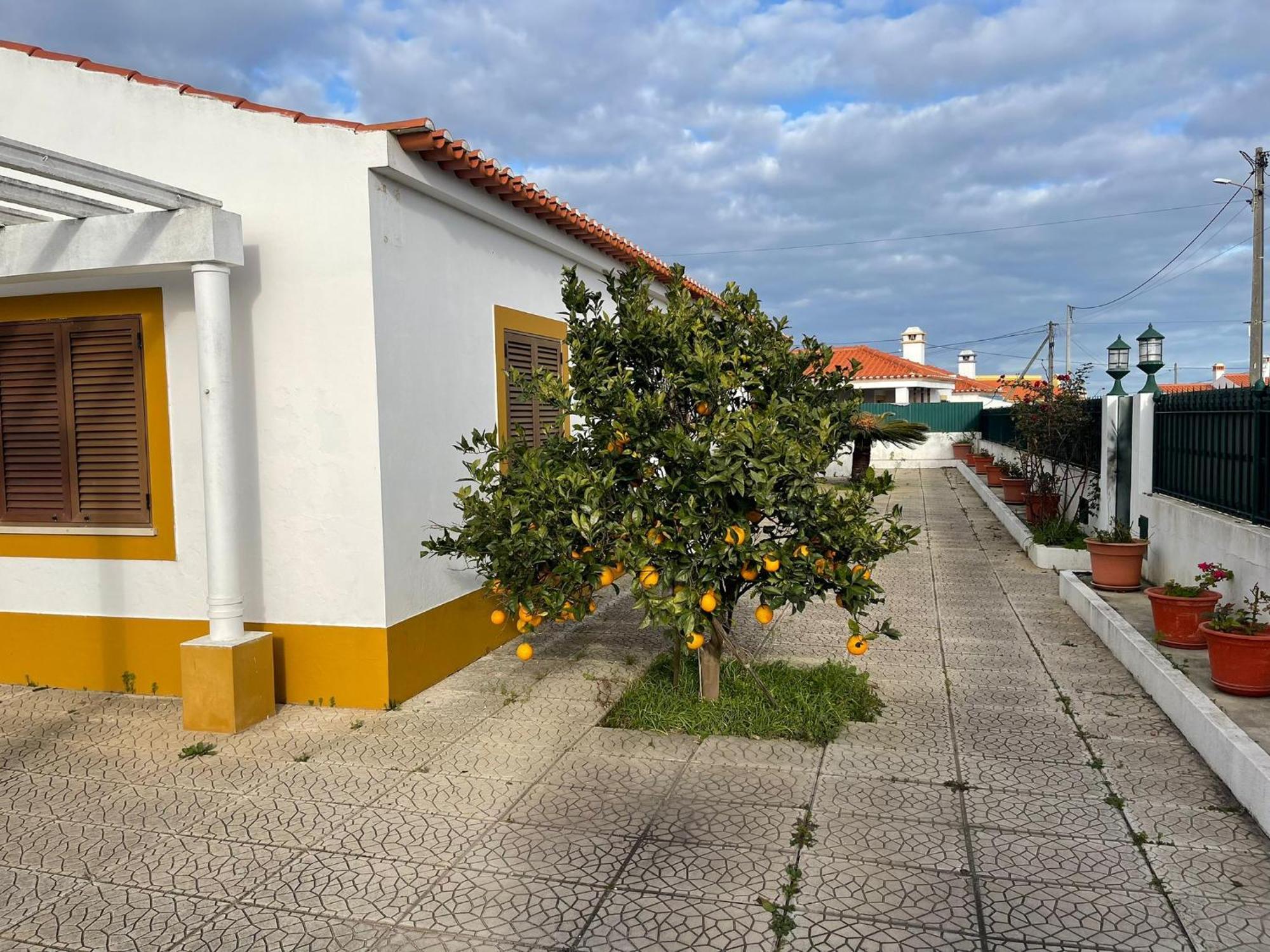 Luz E Sal By Stay In Alentejo Cavaleiro Dış mekan fotoğraf